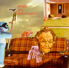 kinetic dog hallucinations front cover