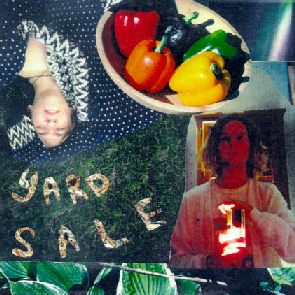 do you see the light?  click for back cover (art by Lynn Kozak)